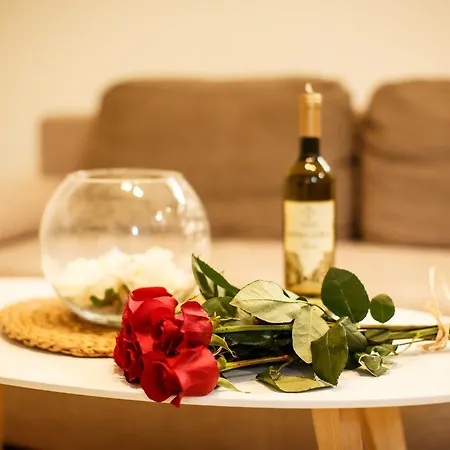 Spot Apartment Banja Luka
